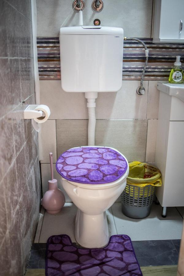 Prenociste Indija Hrvic Apartman Kültér fotó