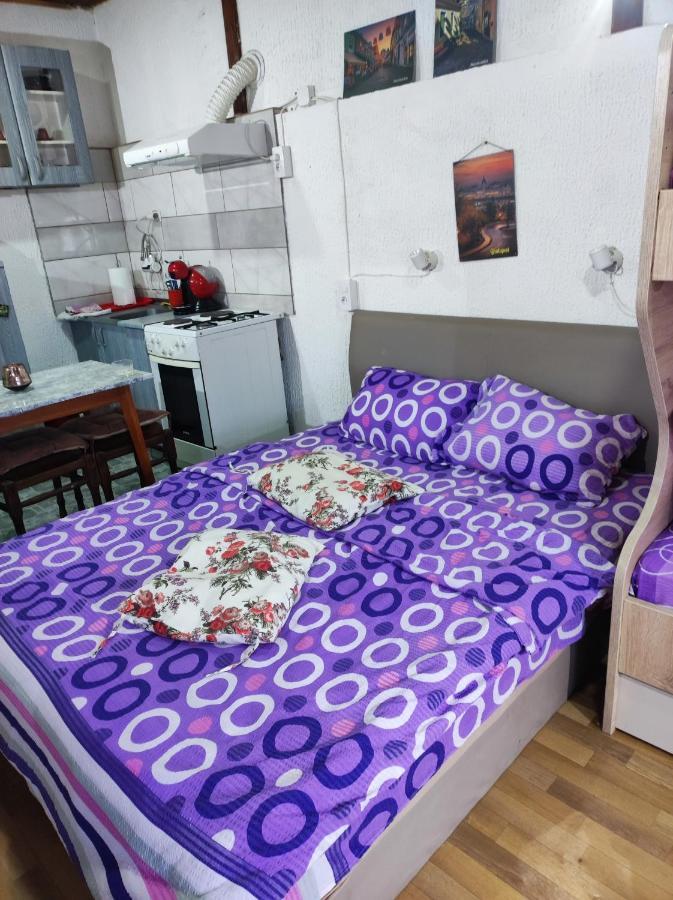 Prenociste Indija Hrvic Apartman Kültér fotó
